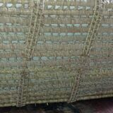 Vintage palm bassinet