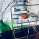 70's foldable metal and glass rolling service