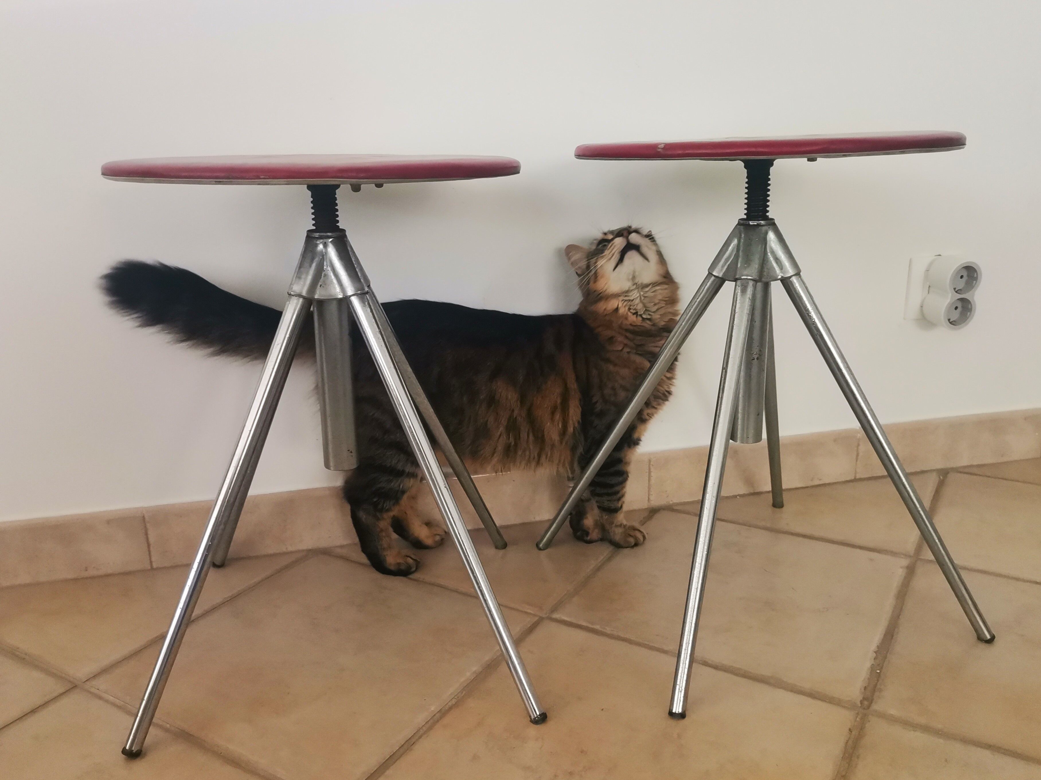 German red leather swivel filigree rotating height adjusting stools by Hailo 1960s, Set of 2