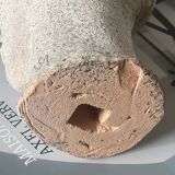 Bust in reconstituted stone
