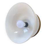 Wall light or semi-spherical ceiling light in white opal glass with a rose.