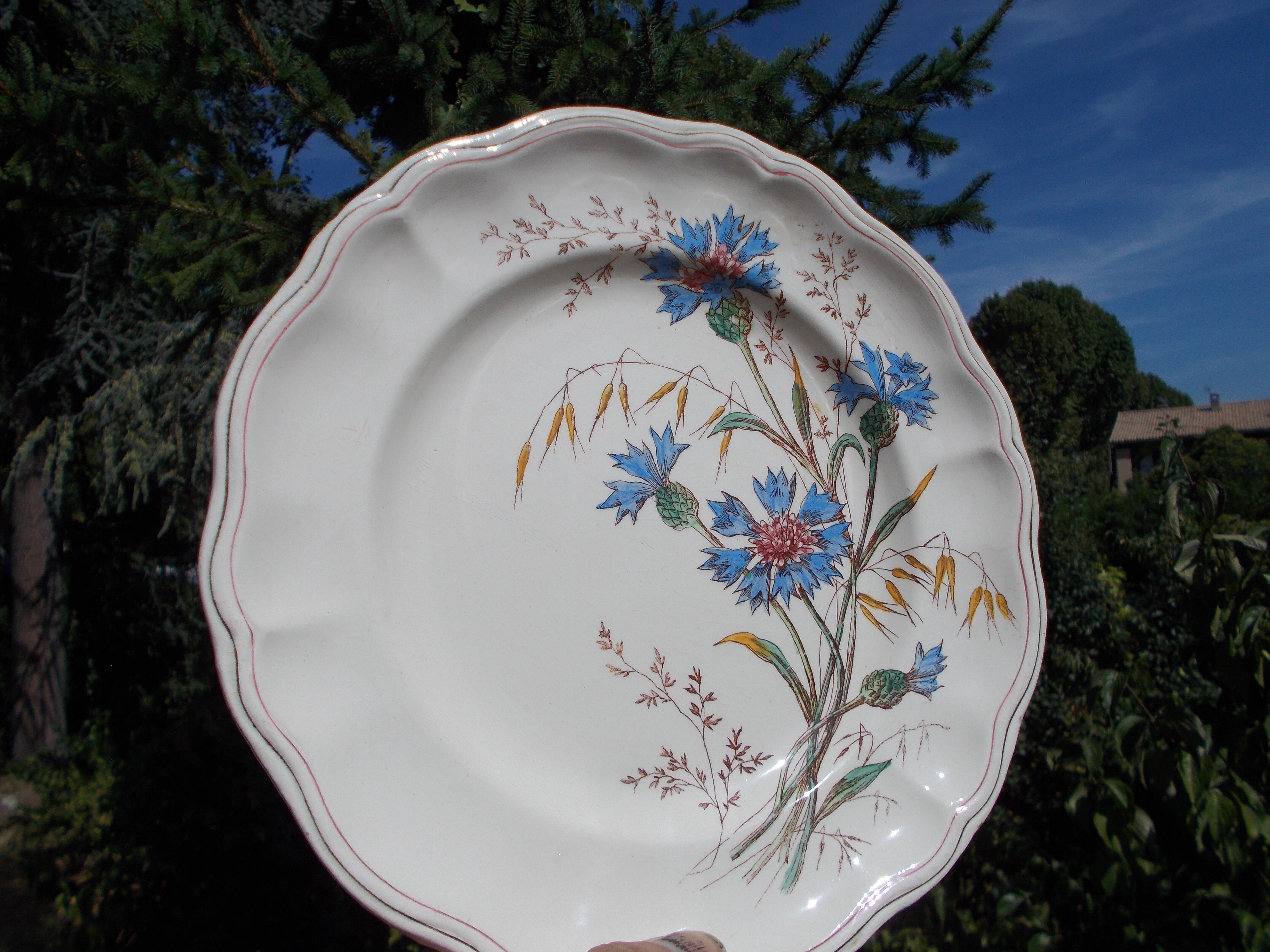 6 Longchamp Marguerite blue earthenware plates
