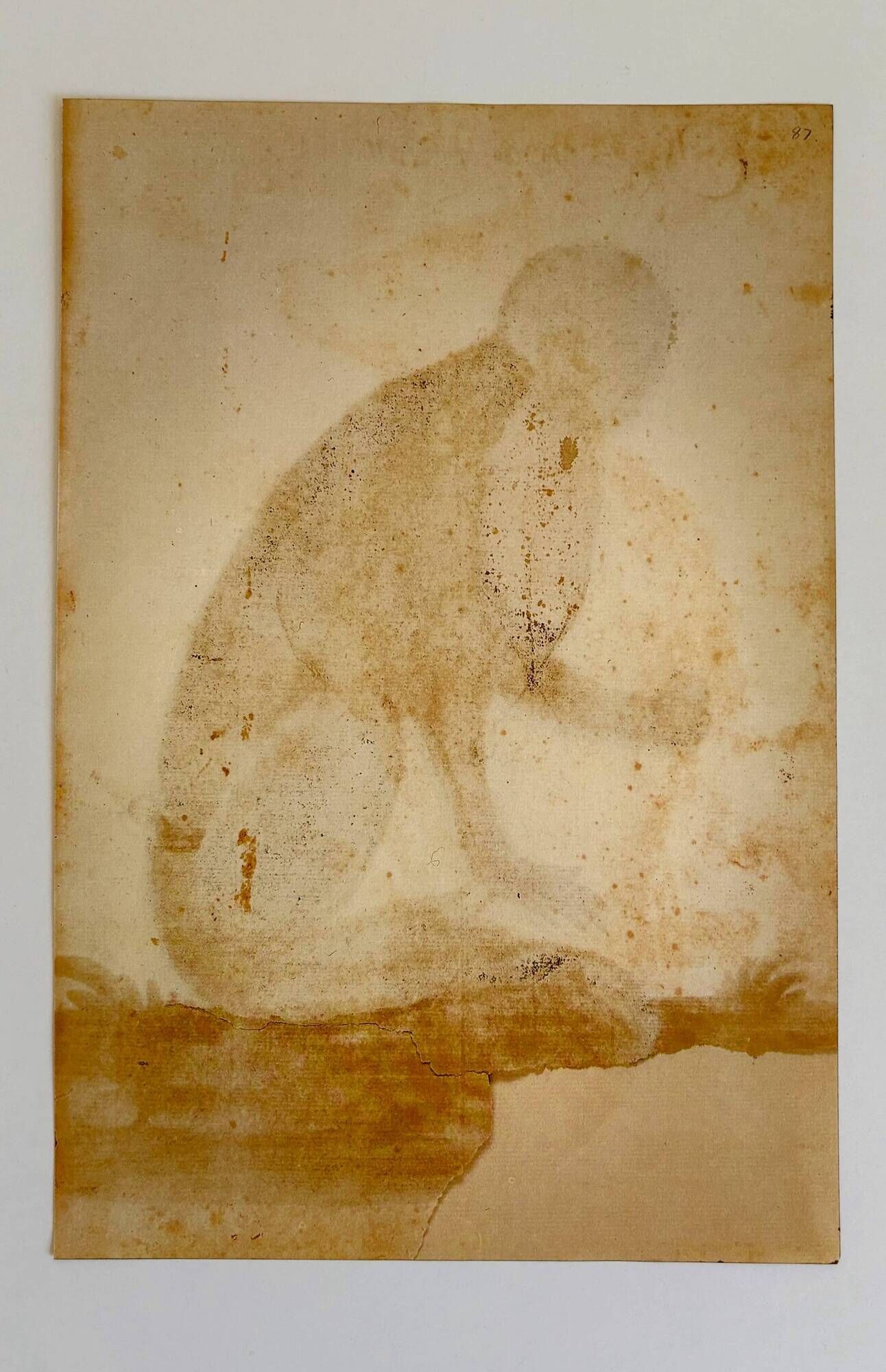 Impressions of the natural history of the Renaissance, pair of facsimiles of the Codex Pomar, 1990s.