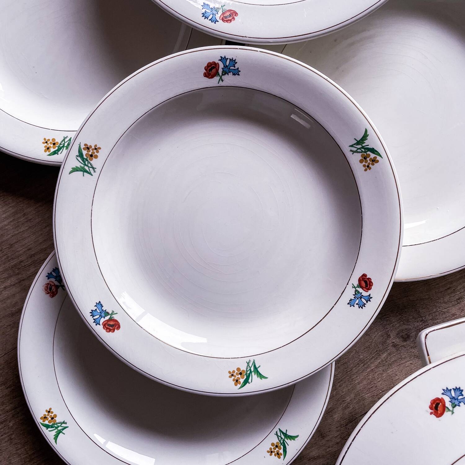 Gien flower service: 6 plates + 1 tureen