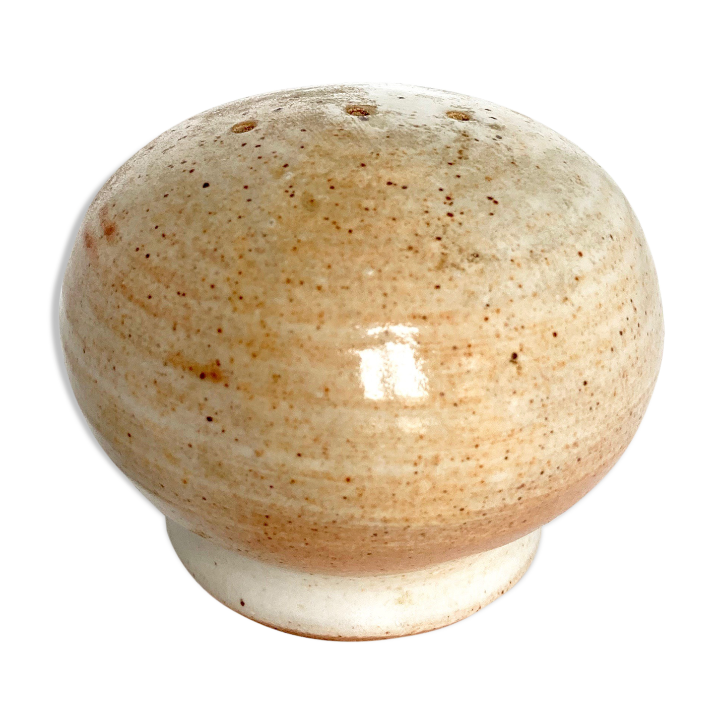 Salt shaker Sandstone of the Marsh