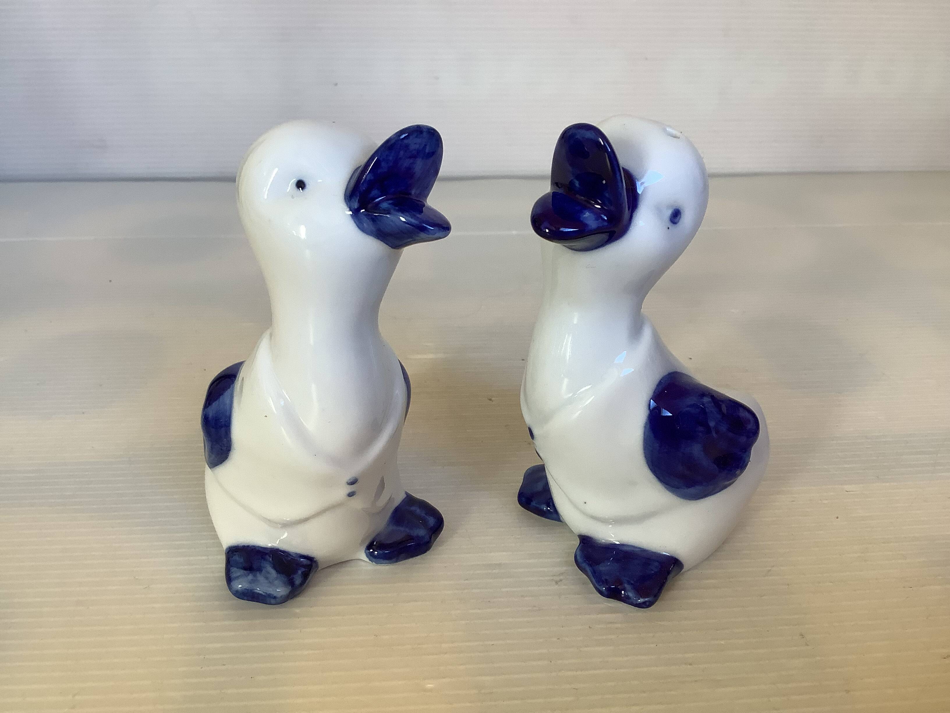 Salt and pepper birds, geese, ducks.