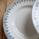 6 vintage plates from Terre de Ter Saint Amandinoise, Saint Amand model 4500.