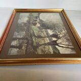 Frame with a countryside landscape