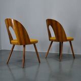 1960s Antonin Suman set of four dining chairs in walnut finish, Czechoslovakia