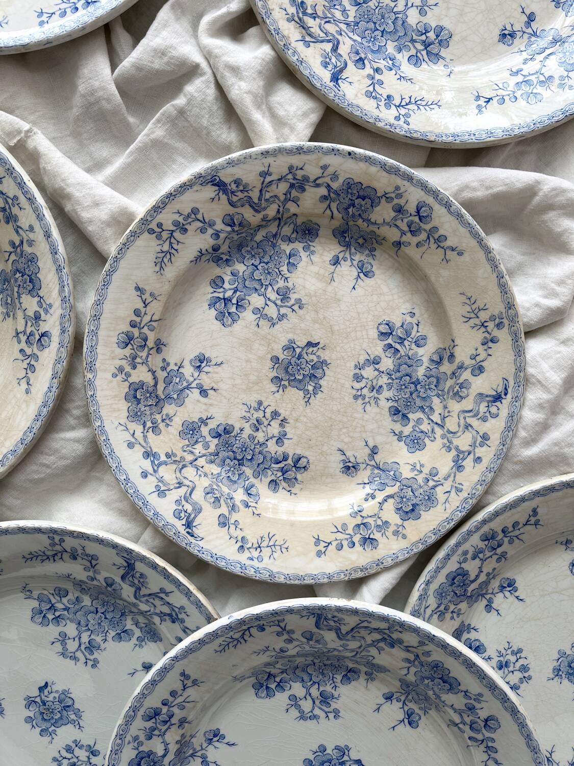 8 flat ironstone plates “Fleurette” Gien