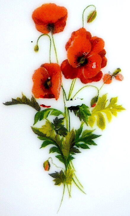 Limalonges porcelain butter decorated with bouquets of poppies