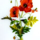 Limalonges porcelain butter decorated with bouquets of poppies