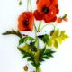 Limalonges porcelain butter decorated with bouquets of poppies