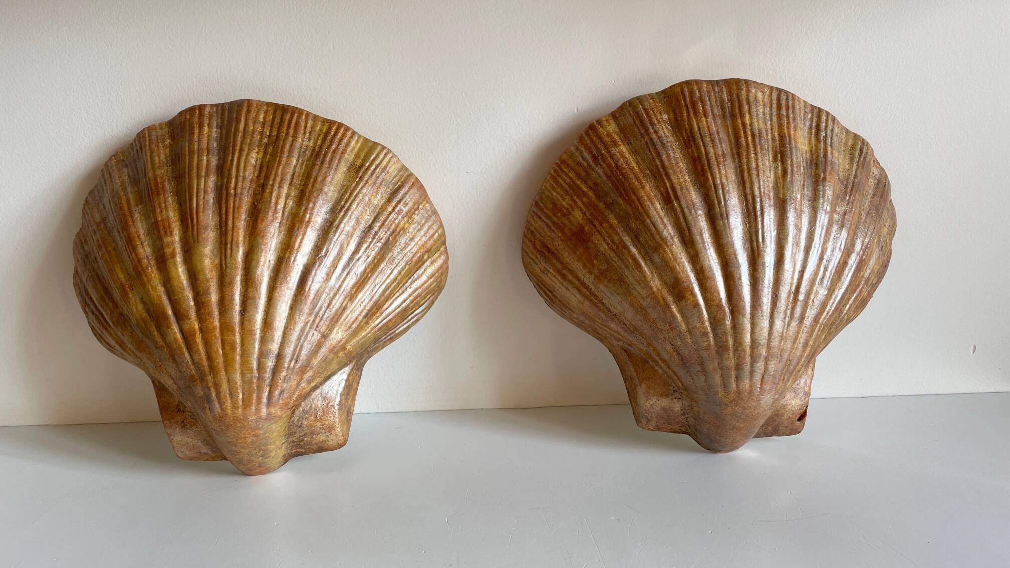 Shell wall enameled by aljezur