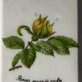 Pair of Paris porcelain cleanliness plates