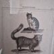 Old print Cats edition Panckoucke