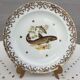 Set 12 plates porcelain gold fine fish fern limousine de Chastagner
