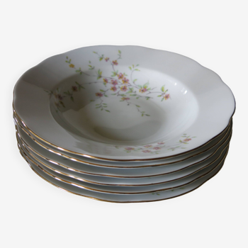 6 assiettes creuses en porcelaine de Bohème Tchécoslovaquie en très bon état.*