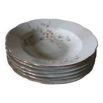 6 assiettes creuses en porcelaine de Bohème Tchécoslovaquie en très bon état.*