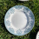 Set of 6 mismatched iron earth flat plates