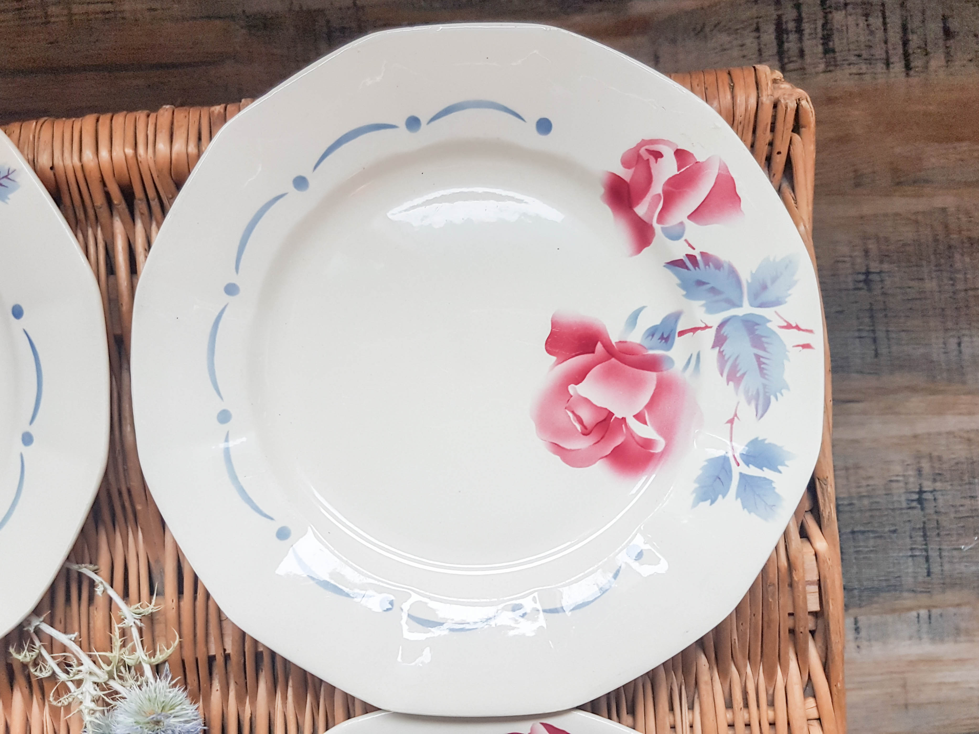 Lot de 6 assiettes plates "boulogne" Digoin Sarreguemines