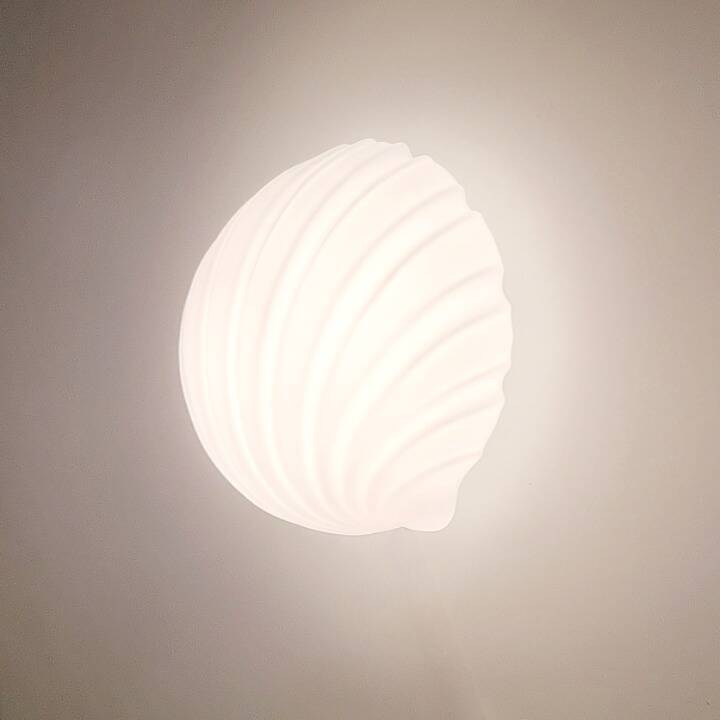 Pair of Opaline Glass Shell-Shaped Wall Lights from Limburg, Germany, 1970s