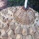 Vintage palm leaf pendant light