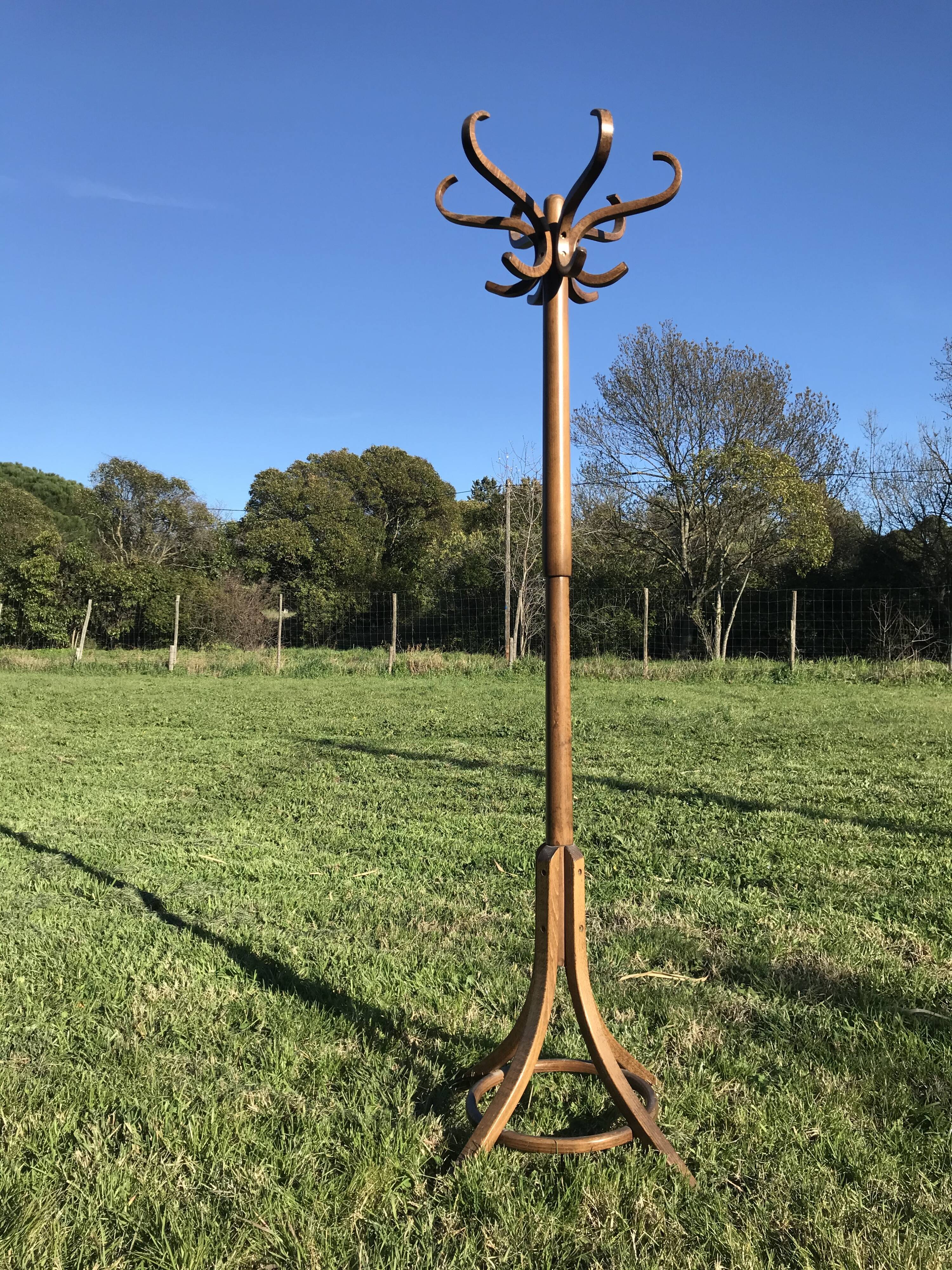 Curved wooden parrot coat door