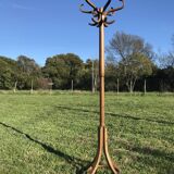 Curved wooden parrot coat door