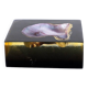 Jean Claude Dresse / Pierre Giraudon Inclusion of Pearl Oyster Shell