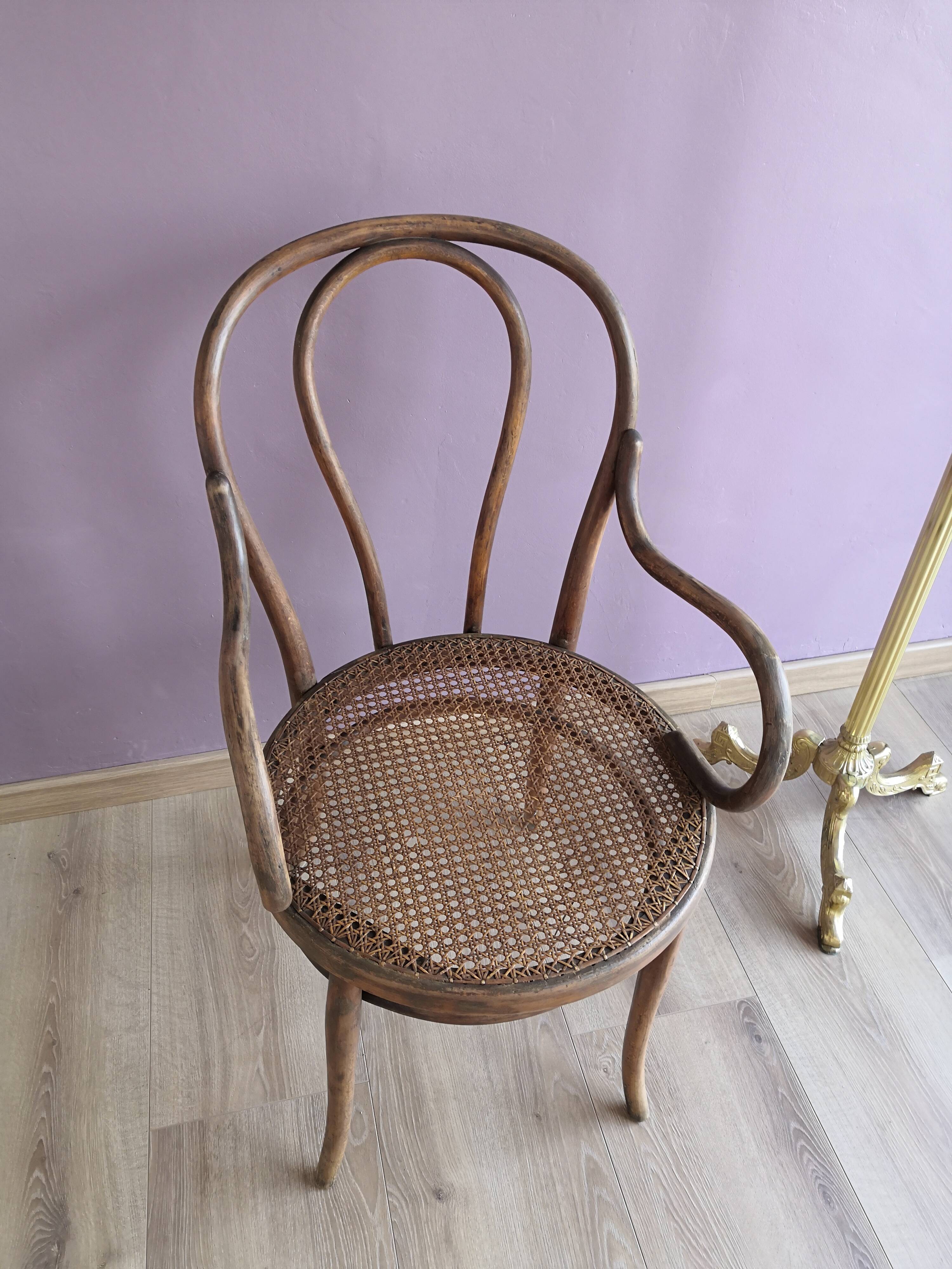 Thonet armchair in wood and cane, 1900