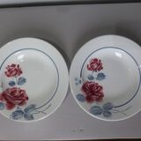 2 assiettes creuses vintage de Digoin Sarreguemines modèle Janick