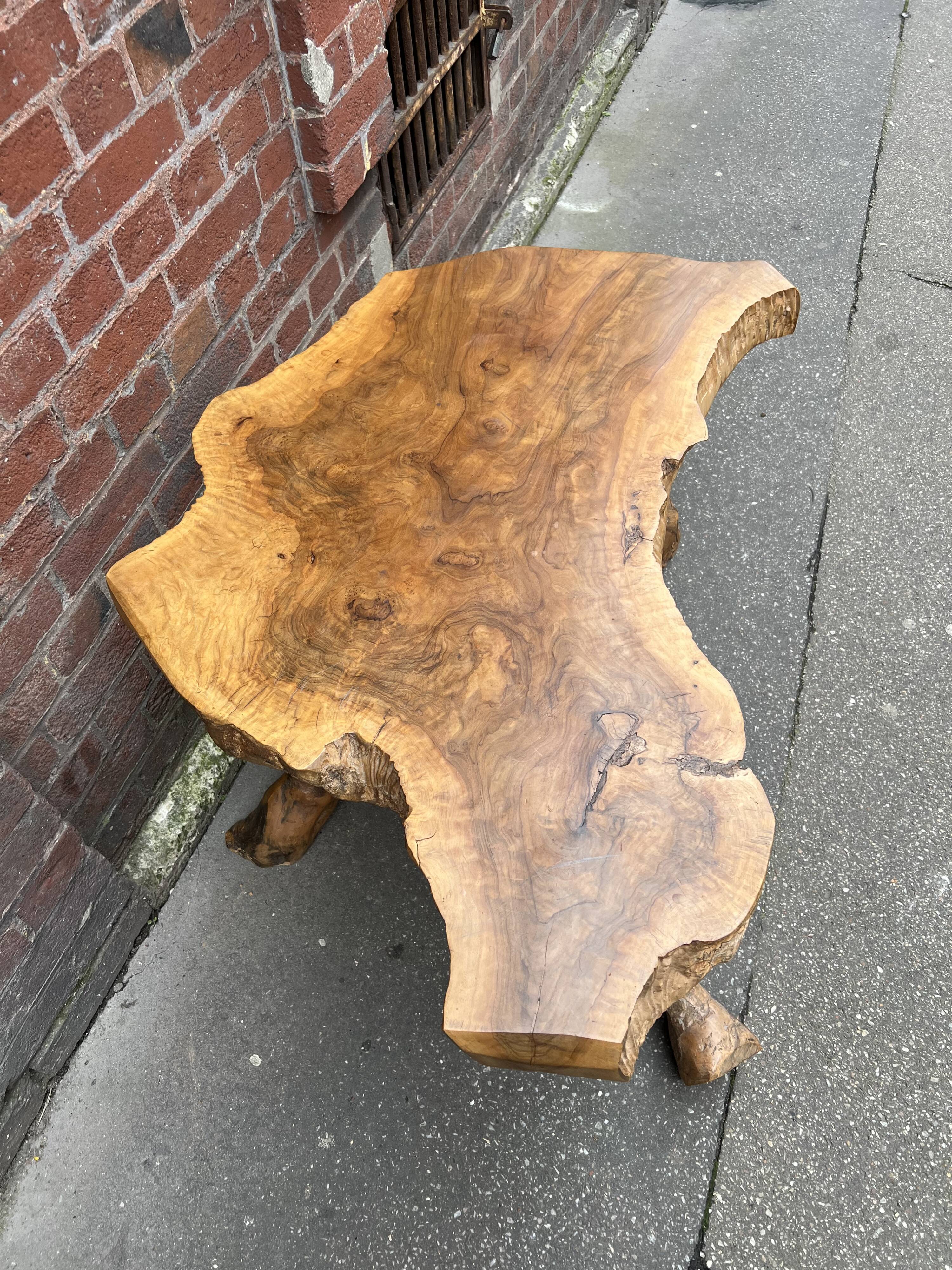 Brutalist coffee table in solid olive tree, period around 1960