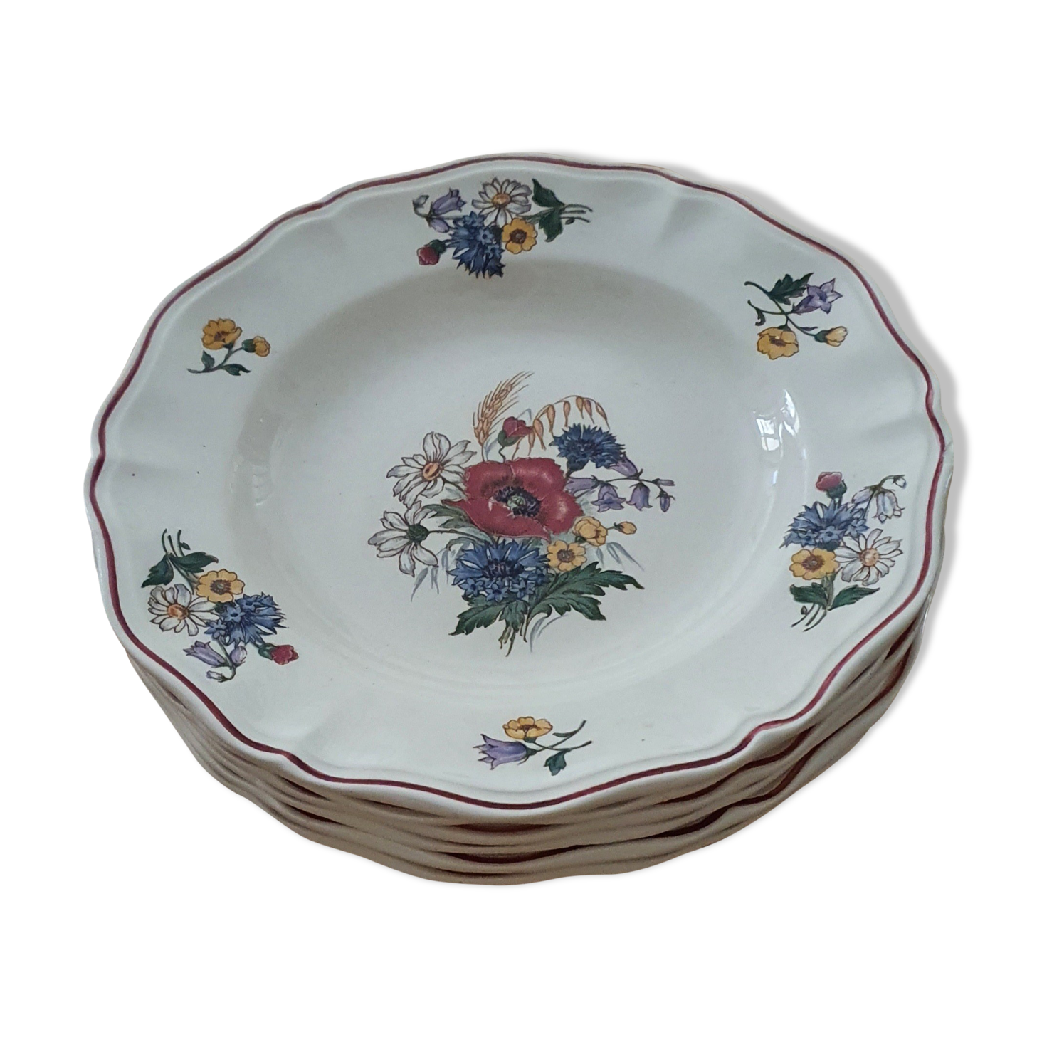 Set of 6 Digoin hollow plates
