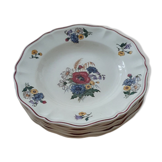 Set of 6 Digoin hollow plates