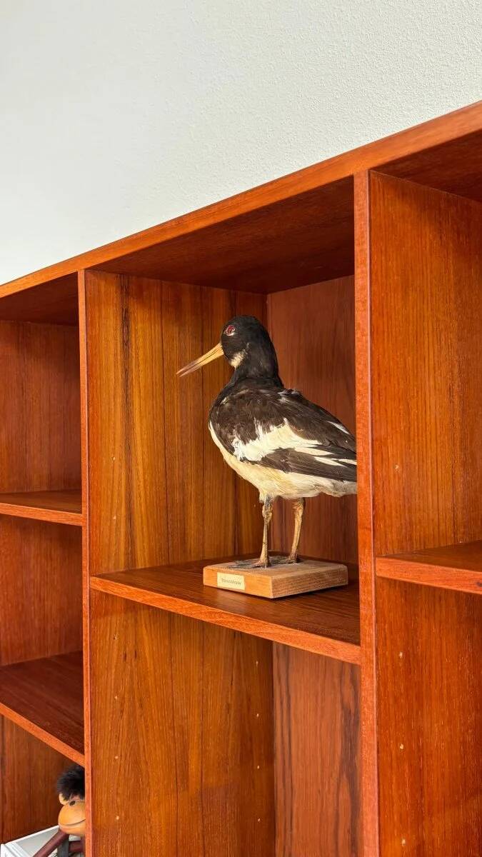 Vintage bookcase - wall cabinet teak Peter Løvig