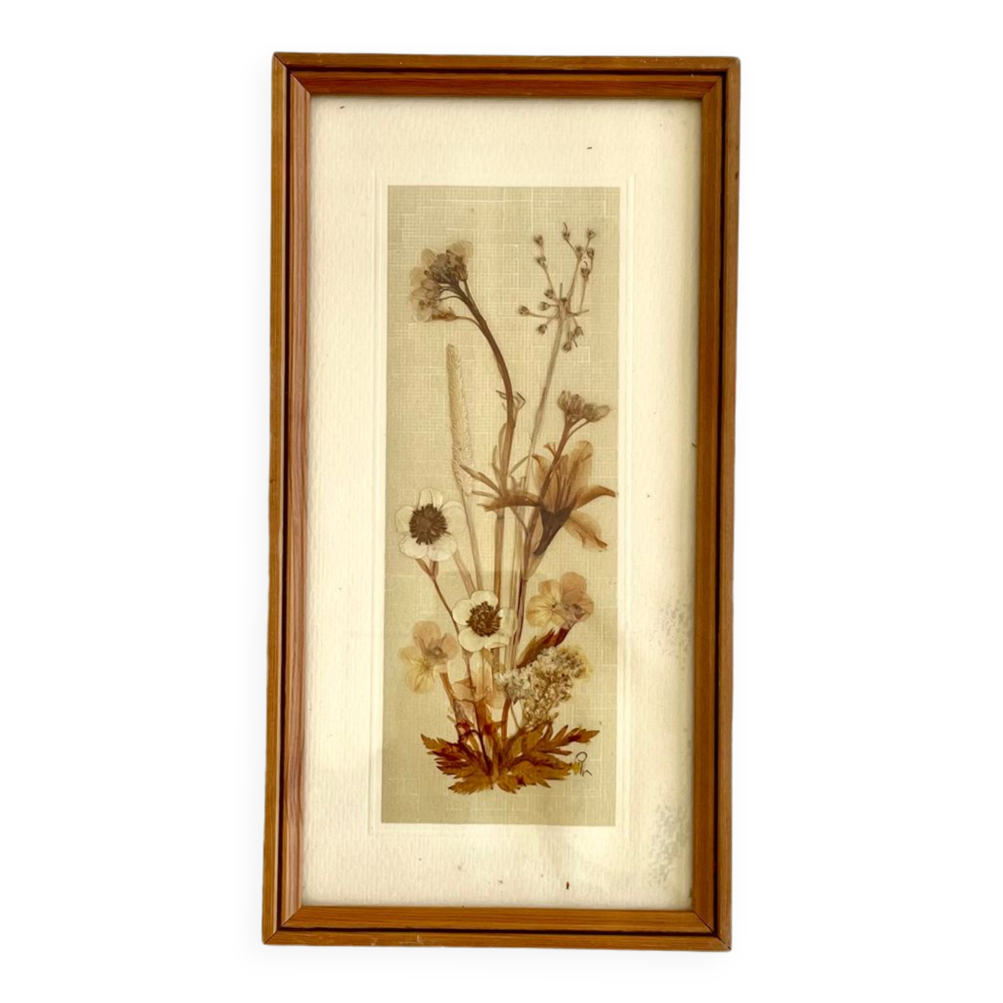 Vintage wood frame dried flowers under glass