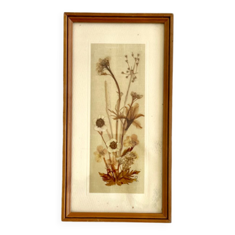 Cadre bois vintage fleurs séchées sous verre