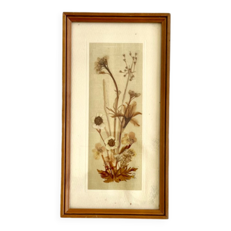 Vintage wood frame dried flowers under glass