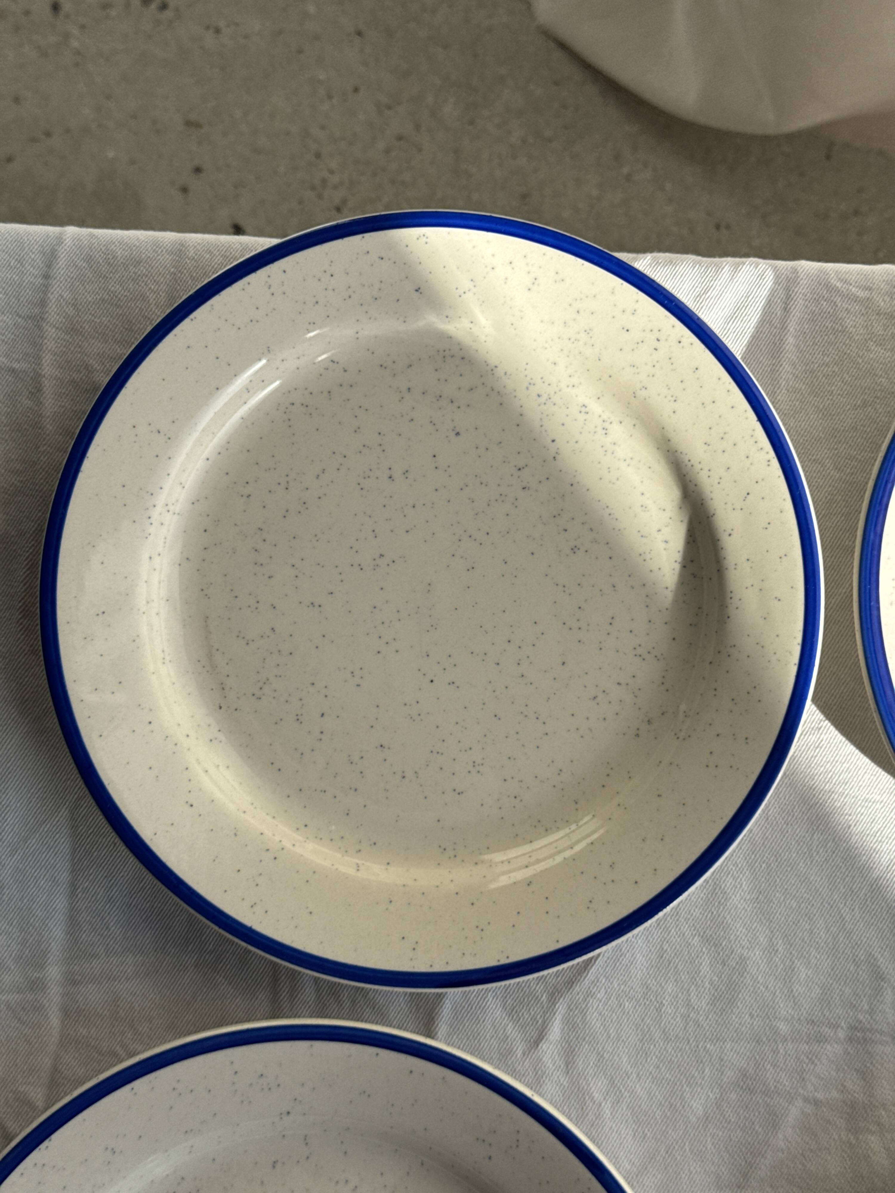 Set consisting of 6 beige flat plates with a blue rim + 3 deep plates.