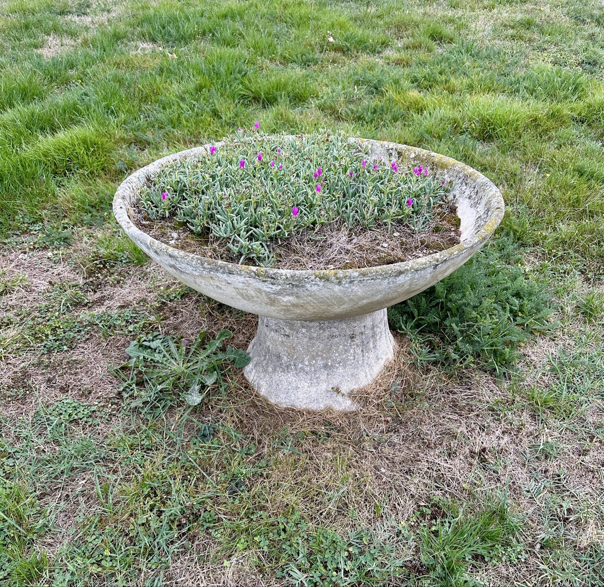 Old planter, pedestal basin by Willy Guhl