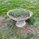 Old planter, pedestal basin by Willy Guhl
