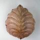Pink frosted Murano leaf wall sconce, Italy, 1970s