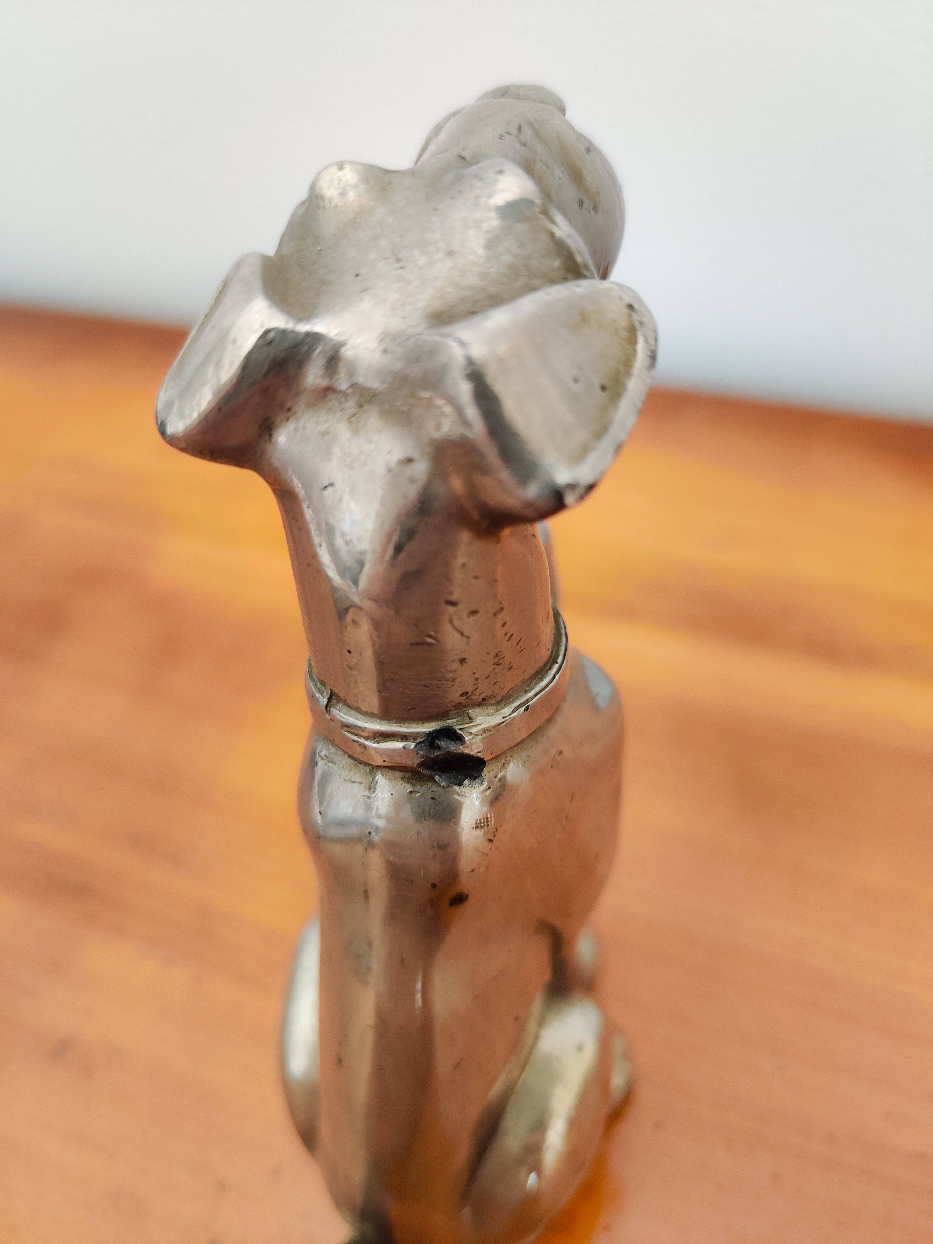 Chien