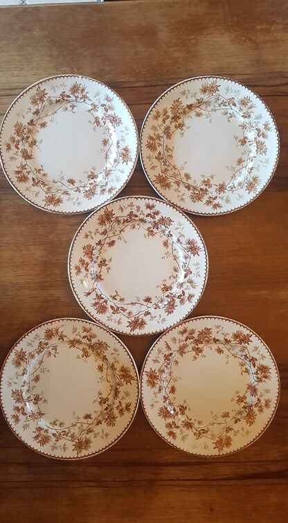 Set of 5 plates in Terre de Fer Creil & Montereau model Mignardise