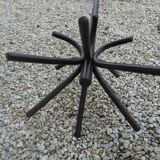 Old parrot coat rack