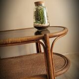 Rattan coffee table smoked glass