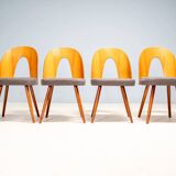 Chaises de salle à manger Antonín Šuman, Tatra Nábytok, Tchécoslovaquie années 1960.