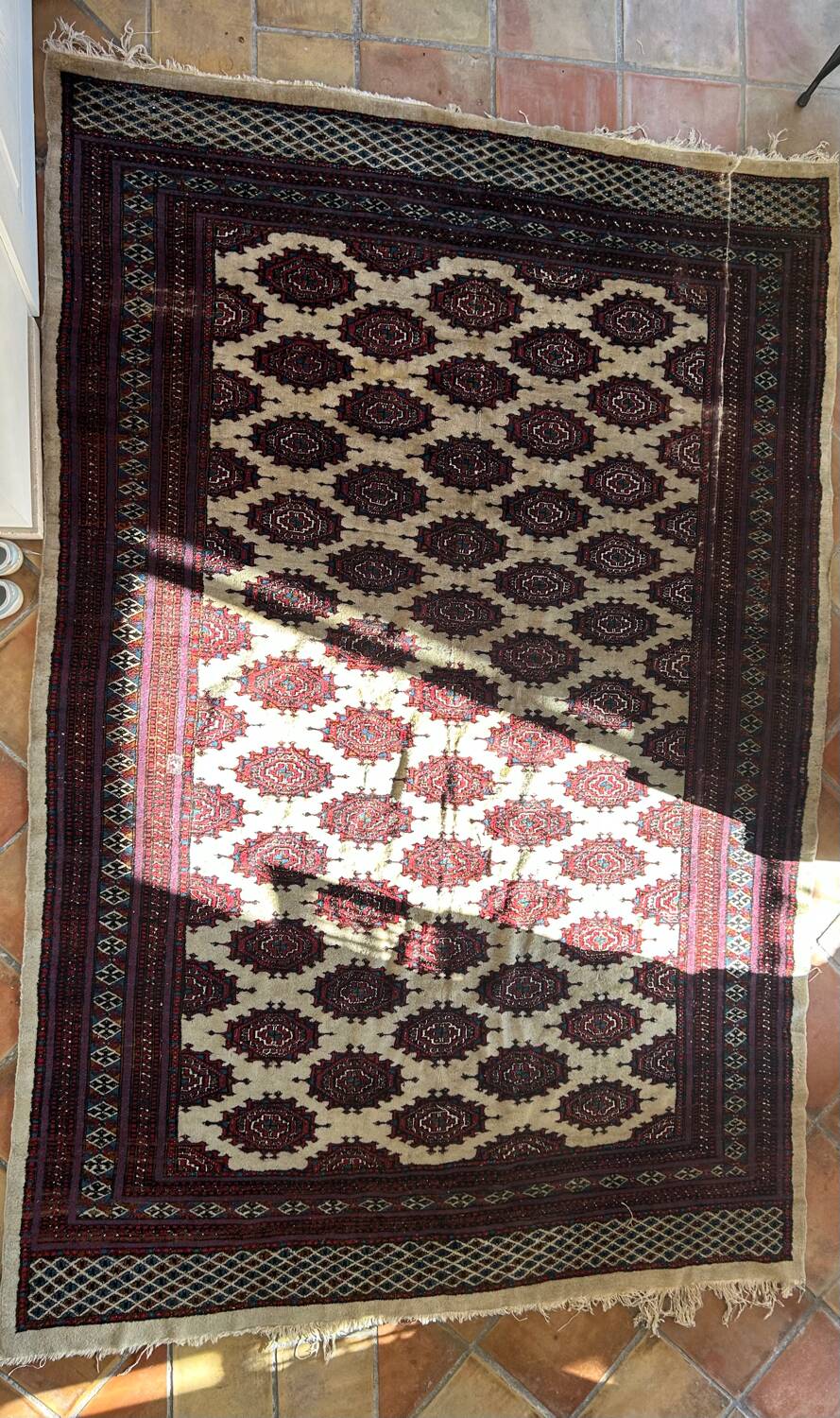 Bukhara carpet Afghanistan