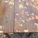 Old farmhouse table in cherry wood 204 x 81 cm